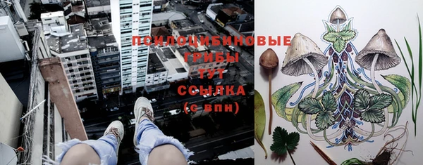 стафф Алзамай