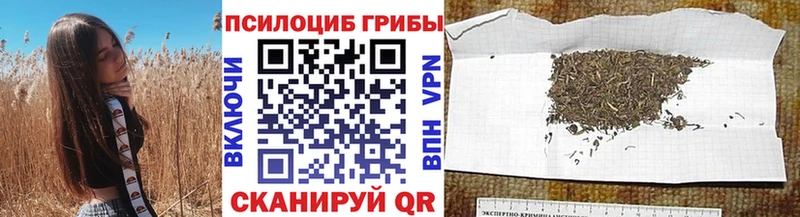 Псилоцибиновые грибы Psilocybine cubensis  где продают   Полевской 