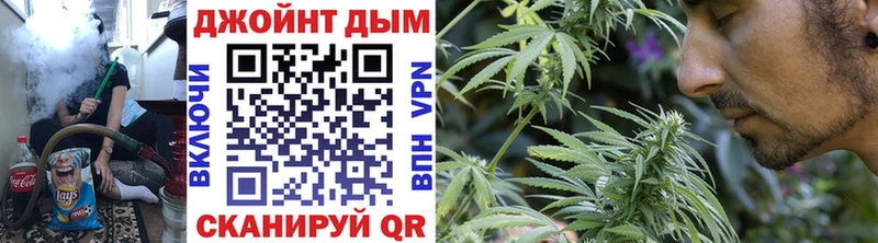 Бошки Шишки планчик  Полевской 